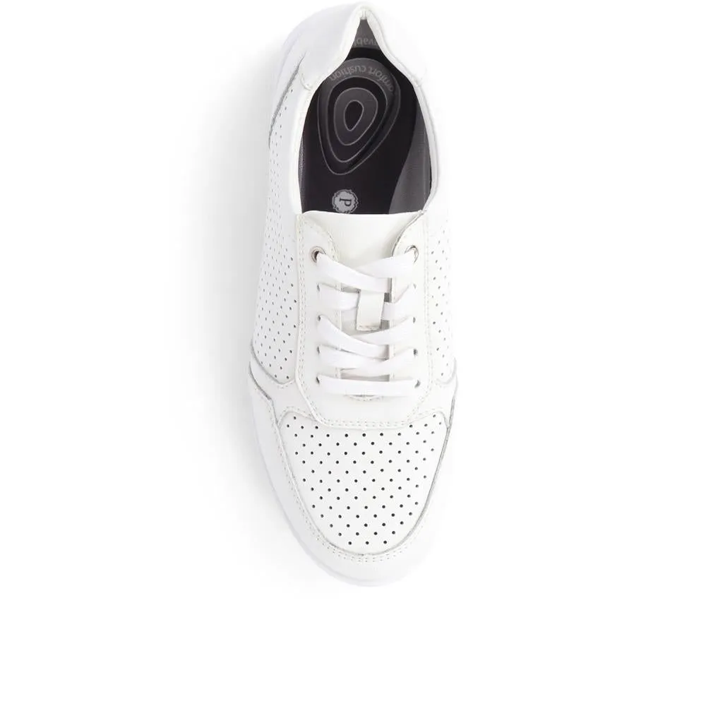 Leather Lace-Up Trainers  - BRK39034 / 325 105